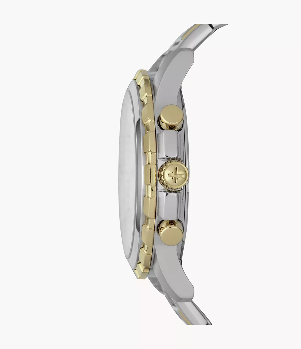fossil other view