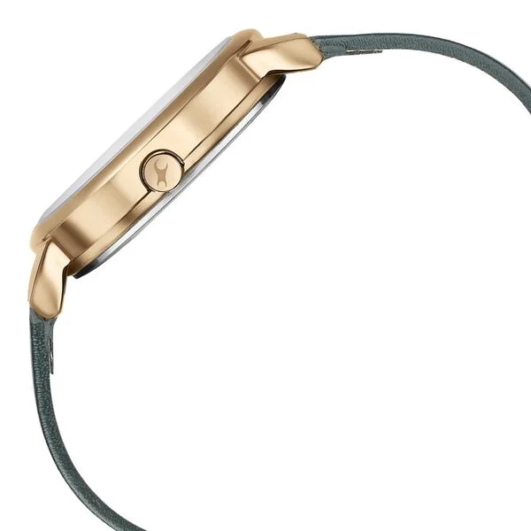 FASTRACK other view