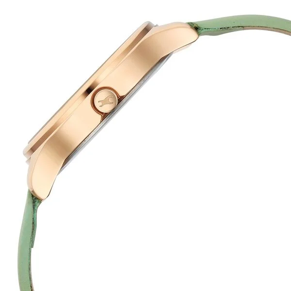 FASTRACK other view